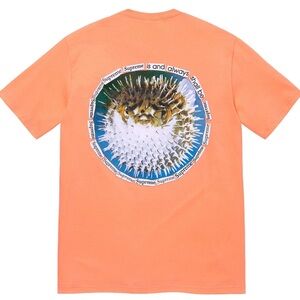 Supreme Blowfish Tee Adult Size- L, Peach Short sleeve Tee Made In USA